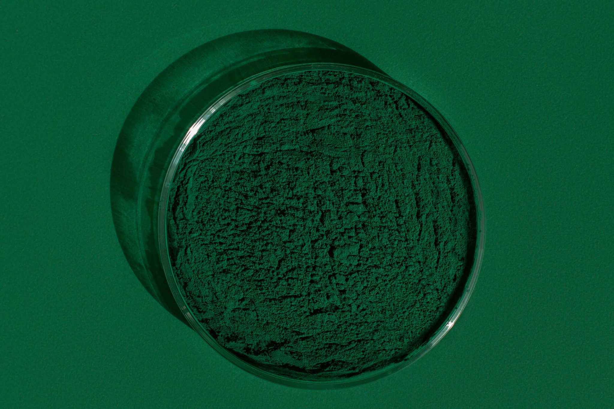 Spirulina Powder in glass dish