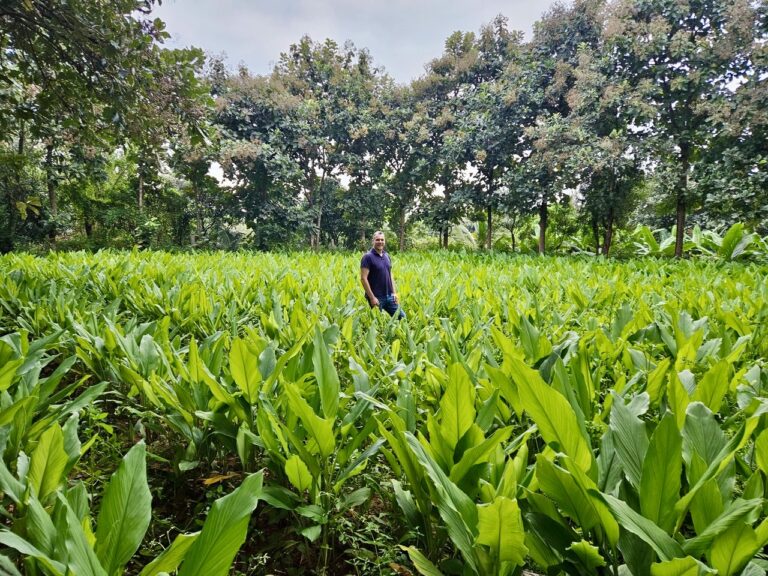 Benedikt, Abbott Blackstone International CEO, in field of leaves