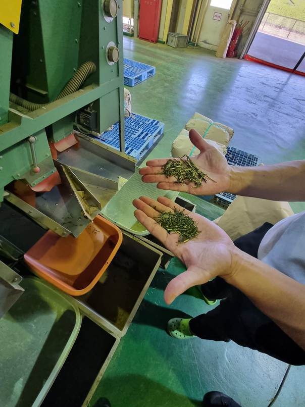 Stick and stem separation